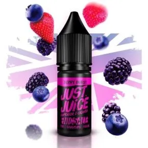 NIKOTINSALZE BEERE PLATZT 10ML | NUR SAFT