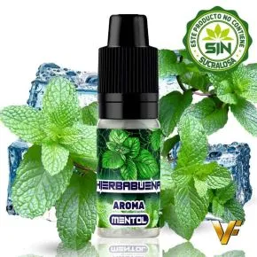 AROMA VAPFIP CHICLE YERBABUENA 10ML