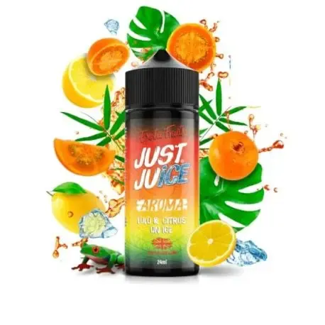Longfill Just Juice fruchtiges Aroma 120 ml zum Dampfen in einer 120-ml-Flasche