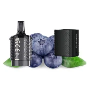 REPUESTO VOZOL VISTA PLUG ARANDANOS 2ML + 10ML 20MG